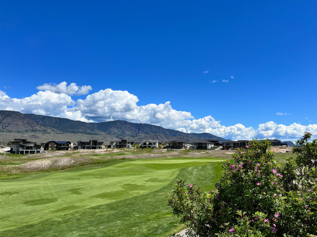 Tobiano Community